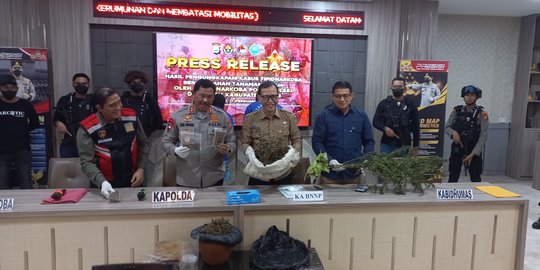 Dua Pecinta Alam Tanam Ganja di Gunung Bolangi Bone Seluas Satu Hektare