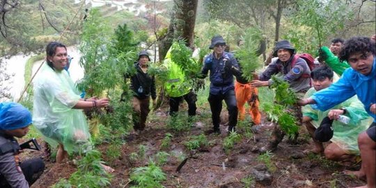 Ungkap Ladang Ganja, Polda Sulsel Minta LAPAN Potret 3 Titik di Gunung Bolangi Bone