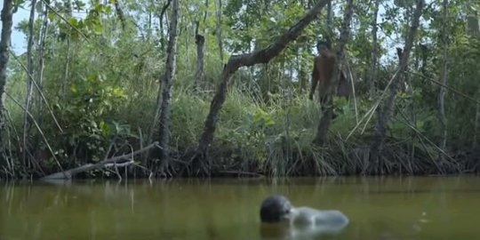 Mengunjungi Kampung Tirang di Tegal, Permukiman Unik di Tengah Muara Sungai