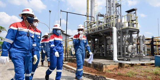 IPO Pertamina Geothermal Dipastikan Tak Salahi Undang-Undang