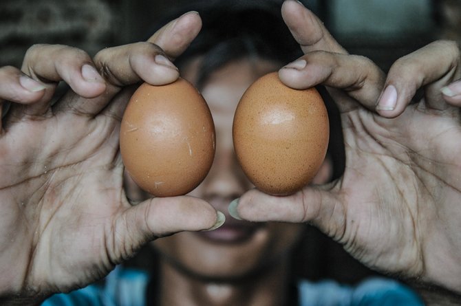 harga telur ayam terus meroket
