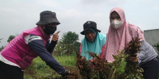 Lawan Stigma di Tengah Keterbatasan, Kisah Kelompok Tani di Cimahi Ini Menginspirasi