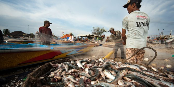 Sumber Daya Laut Melimpah, Tapi Hilirisasi Perikanan RI Masih Lemah