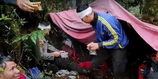 Tim Darat Tiba di Lokasi Kapolda Jambi, Begini Penampakan Kondisi Hutan Belantara