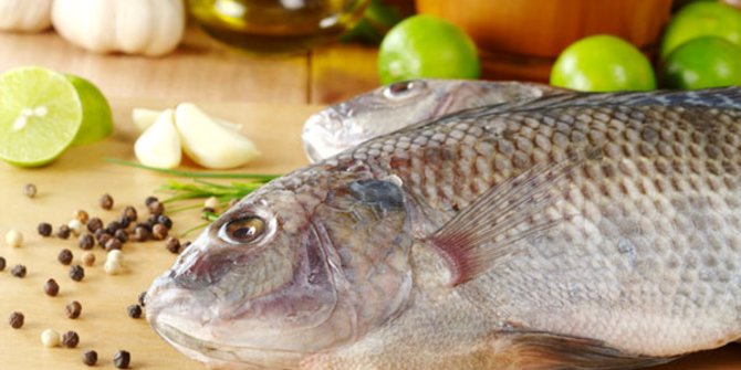 6 Resep Ikan Masak Santan ala Rumahan Praktis dan Lezat, Mudah Dibuat