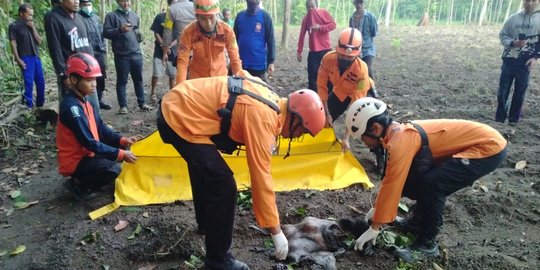 20 Potongan Tubuh Korban Ledakan Bahan Petasan di Blitar Diuji DNA