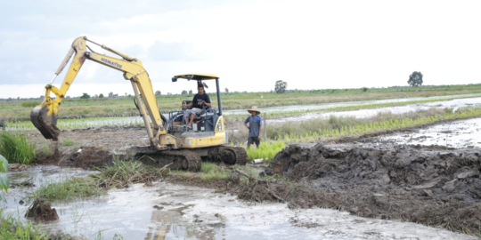 Hampir Rp1 Triliun Uang Negara Dihabiskan untuk Ketahanan Pangan