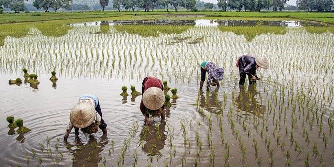 Pengertian Iklim Oldeman, Lengkap Beserta Klasifikasi dan Penjelasannya