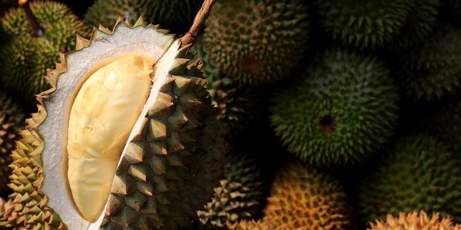 Cara Memilih Durian yang Sudah Matang atau Belum, Perhatikan Hal Ini