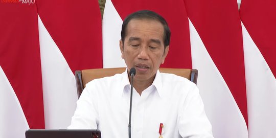 Optimalkan Bonus Demografi, Jokowi Tak Ingin Pemuda Jadi Beban Negara