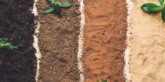 Biopori adalah Lubang Resapan dalam Tanah, Berikut Penjelasan Manfaatnya