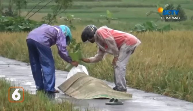 dampak cuaca ekstrem di jateng februari 2023