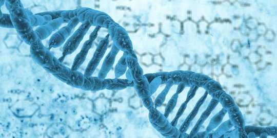 28 Februari 1953: Penemuan DNA Double Helix oleh James Watson dan Francis Crick