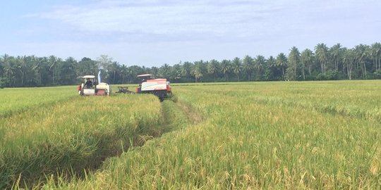 Dinas Kesehatan bersama Lapas Sibolga Panen Cabai Hasil Warga Binaan, Ini Tujuannya