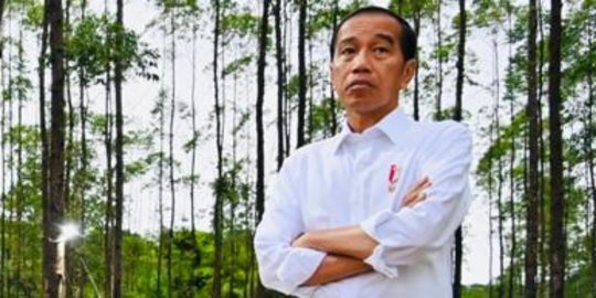 Jokowi Cek Kawasan Kalimantan Industrial Park Hari Ini