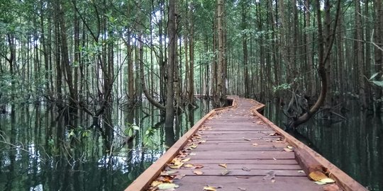 11 Wisata Bontang yang Populer dan Menarik, Jangan Sampai Terlewat