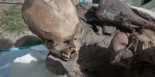 Mumi Berusia 800 Tahun Ditemukan dalam Tas Pengantar Paket, Begini Kisahnya