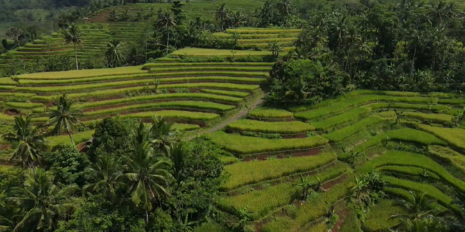 Sering Disamakan dengan Ubud, Ini 4 Fakta Terasering Pangandaran