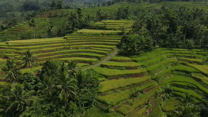 pemandangan terasering pangandaran