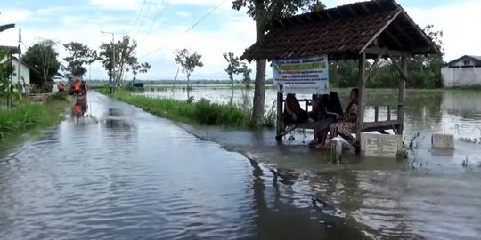 Banjir Rendam Ratusan Ha Lahan Pertanian di Lumajang, Petani Terancam Gagal Panen