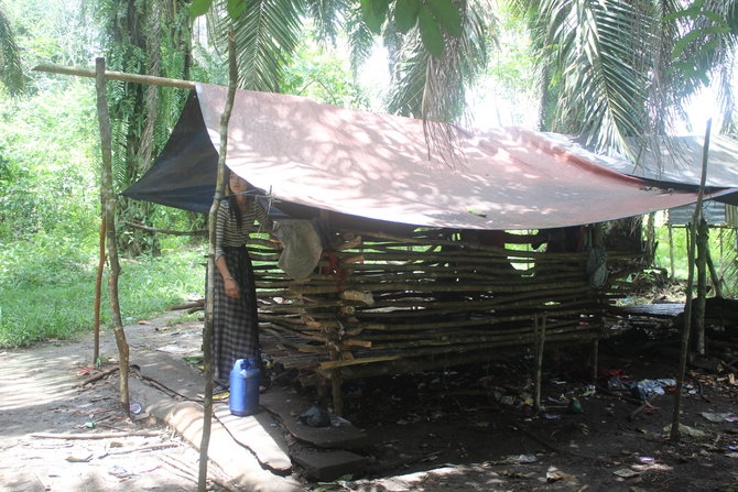 anak orang rimba di merangin