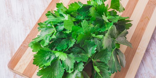 6 Manfaat Daun Seledri untuk Ginjal, Ketahui Cara Konsumsinya