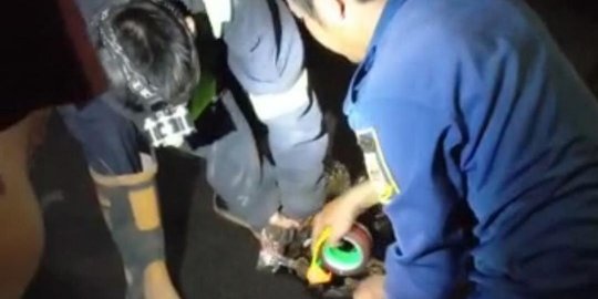 Bikin Geger Warga, Ular Sanca Empat Meter Masuk Selokan Usai Mangsa Kucing