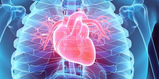 Ilmuwan Ini Ciptakan Jantung Tiruan 3D Persis Aslinya Diklaim Bisa Berfungsi