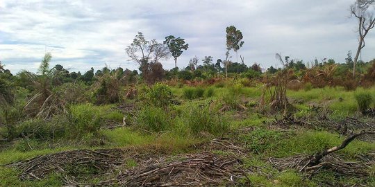 Bisakah Tanah Kosong Jadi Milik Warga? Ini Jawabannya