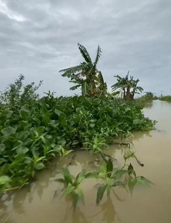 potret kampung terpencil di kabupaten tuban tak ada jalan darat hanya bisa dilalui perahu saat musim hujan