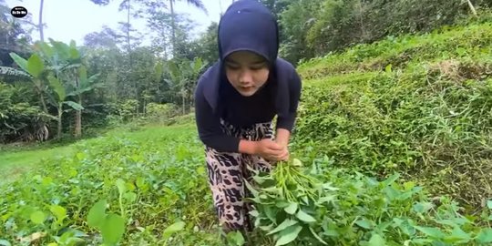 Menangis, Cerita Gadis Desa Cantik Ditinggal Sang Ayah Jadi Kuli Pencari Kangkung