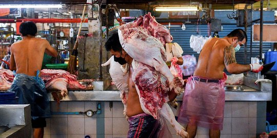 Daerah-Daerah Ini Jadi Penopang Suplai Daging Sapi dan Babi di Kalbar