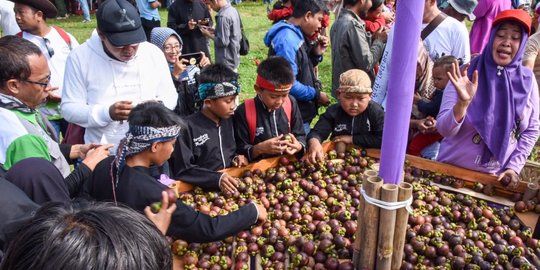 Mengenal Manggis Wanayasa Buah Unggulan Ekspor Yang Tahan 28 Hari 