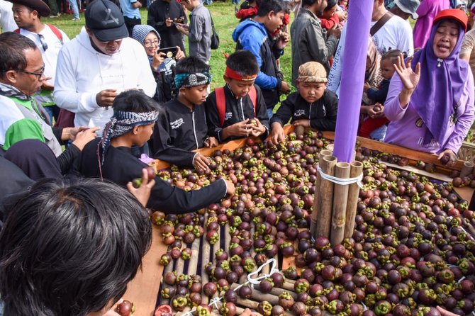 manggis wanayasa purwakarta