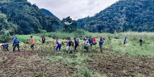 Begini Kondisi Area Edelweis Rawa Ranca Upas usai Rusak Dilindas Motor Trail