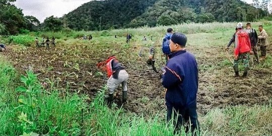 Edelweis Rawa Ditanam Kembali di Ranca Upas Usai Event Motor Trail