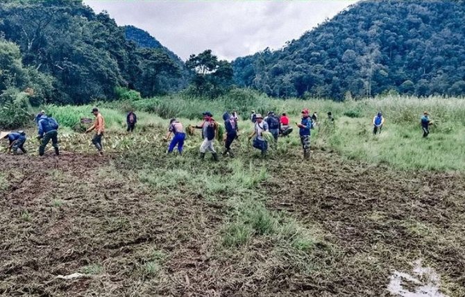 edelweis rawa di ranca upas