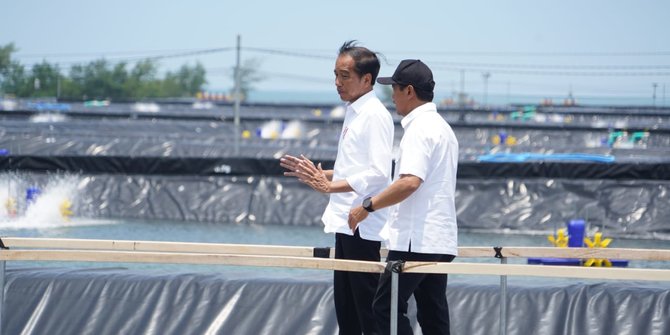 Jokowi Resmikan Tambak Udang Modern di Kebumen: Produksinya Bisa 40 Ton