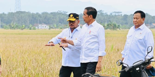 Presiden Jokowi Panen Bersama Menteri Pertanian di Kebumen