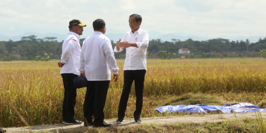 Usai Panen Bersama Presiden, Mentan Canangkan Percepatan Tanam