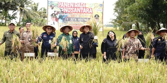 Jelang Ramadan, OKU Timur Mulai Panen Raya