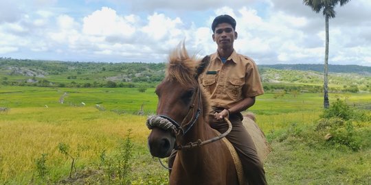 Cerita Siswa di NTT ke Sekolah Naik Kuda, Lewati Bukit dan Semak Belukar