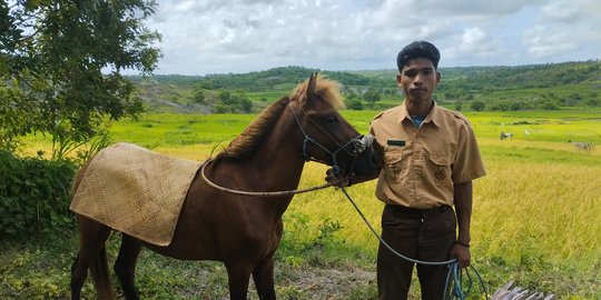 Potret Perjuangan Siswa di NTT Menuju Sekolah, Menunggang Kuda Sejauh 8 Km