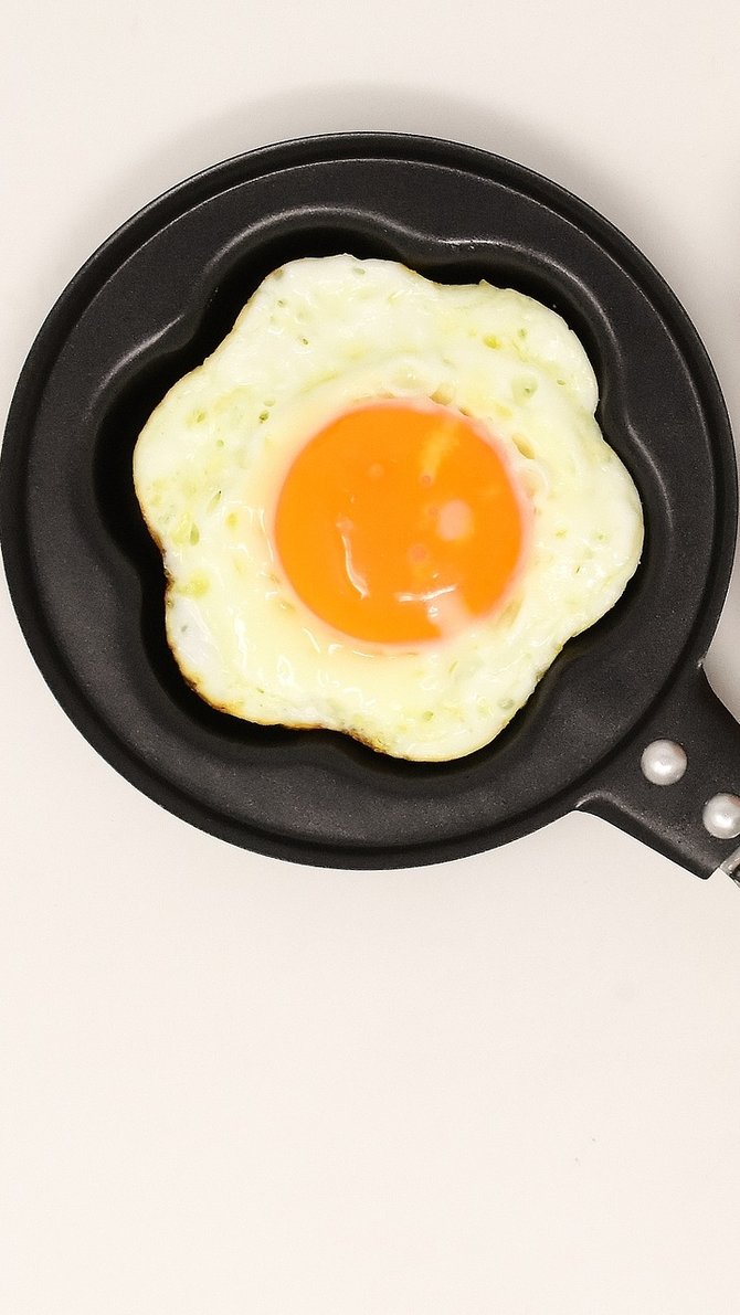 ilustrasi telur