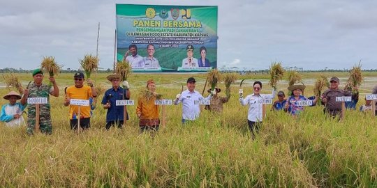 Membanggakan, Panen Raya di Food Estate Kapuas Hasilkan 5,2 Ton/Ha