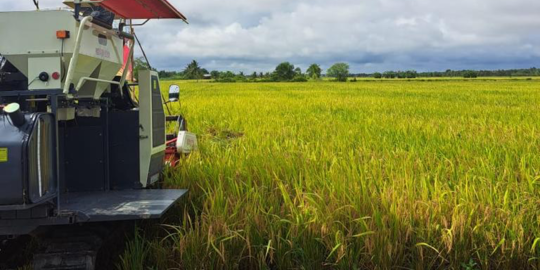 Kabupaten Banyuasin Sumbang Panen Raya Serempak 1 Juta Ton