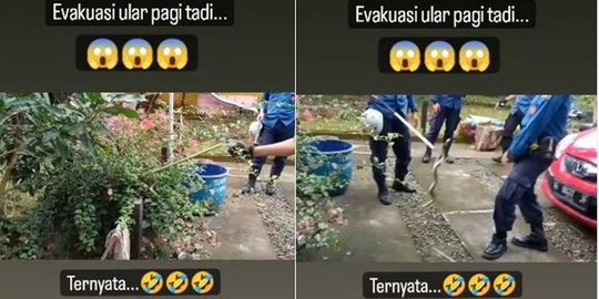 Proses Evakuasi Ular Sempat Bikin Tegang Petugas Damkar, Endingnya Malah Bikin Ngakak