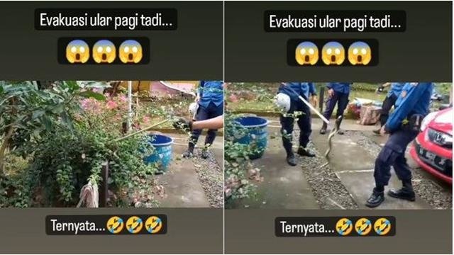 proses evakuasi ular sempat bikin tegang petugas damkar endingnya malah bikin ngakak