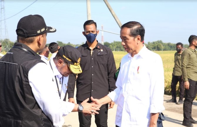 menteri syl dampingi presiden jokowi tinjau panen padi di ngawi