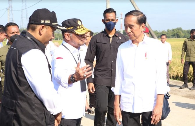 menteri syl dampingi presiden jokowi tinjau panen padi di ngawi